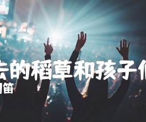 《死去的稻草和孩子们子吉他谱》_闵笛_C调_吉他图片谱2张