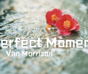 《Perfect Moment吉他谱》_Van Morrison 图片谱1张