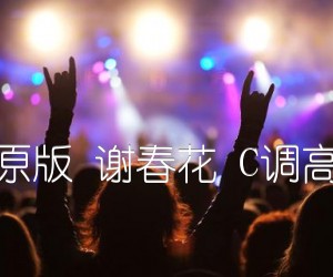 《只道寻常原版 谢春花 C调高清弹唱谱吉他谱》_群星_C调 图片谱1张