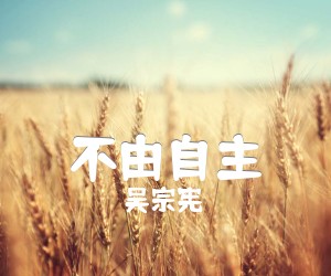 《不由自主吉他谱》_吴宗宪_吉他图片谱1张