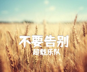 《不要告别吉他谱》_超载乐队 图片谱1张