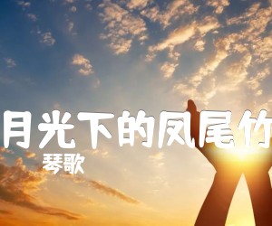 《月光下的凤尾竹吉他谱》_琴歌 图片谱4张