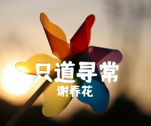 《只道寻常吉他谱》_谢春花__C调图片谱标准版_C调 图片谱4张