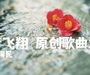 《让梦飞翔（原创歌曲之三）吉他谱》_杜得民_C调 图片谱1张