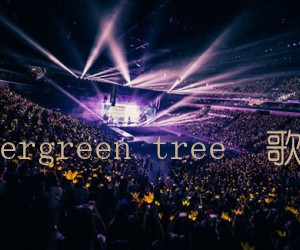 《evergreen tree  歌手吉他谱》_欧美经典_C调 图片谱1张