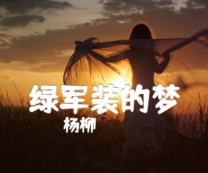 《绿军装的梦吉他谱》_杨柳_G调 图片谱1张