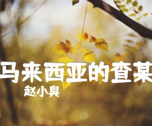 《马来西亚的查某》