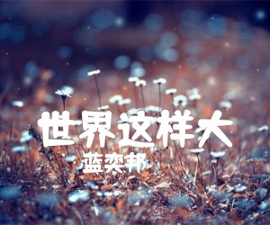 《世界这样大吉他谱》_蓝奕邦 文字谱