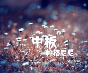 《中板吉他谱》_帕格尼尼 图片谱1张