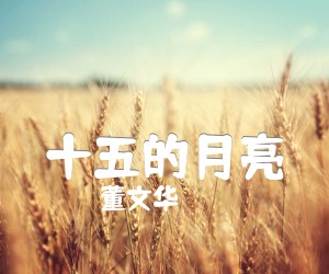 《十五的月亮吉他谱》_董文华 图片谱1张