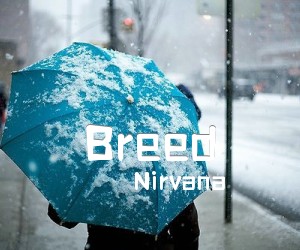 《Breed吉他谱》_Nirvana_未知调_吉他图片谱2张