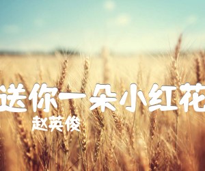 《送你一朵小红花吉他谱》_赵英俊_B调 图片谱2张