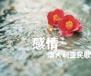 《感情吉他谱》_澳大利亚民歌_G调_吉他图片谱2张