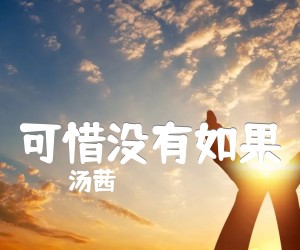 《可惜没有如果吉他谱》_汤茜 图片谱2张