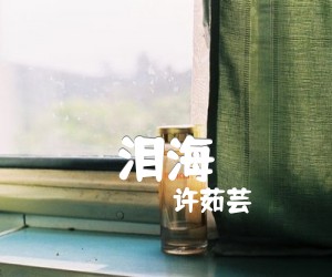 《泪海吉他谱》_许茹芸_文字谱