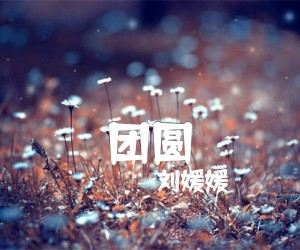 《团圆吉他谱》_刘媛媛_G调 图片谱1张