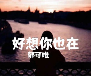 《好想你也在吉他谱》_郁可唯_G调 图片谱2张