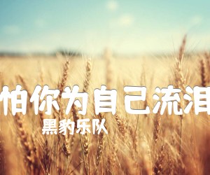 《怕你为自己流泪吉他谱》_（黑豹乐队）_A调 图片谱1张