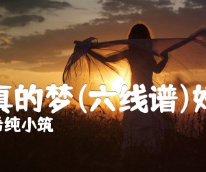 《最真的梦(六线谱)好听》_希纯小筑_周华健_D调 图片谱1张