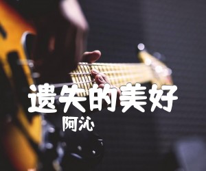 《遗失的美好吉他谱》_阿沁_文字谱