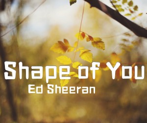 《Shape of You》