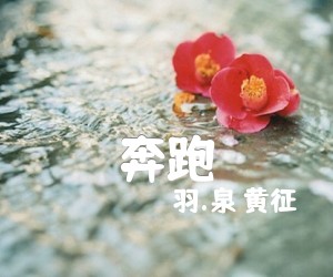 《奔跑吉他谱》_羽.泉 黄征_G调 图片谱1张