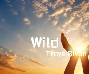 《Wild吉他谱》_Troye Sivan_C调 图片谱1张