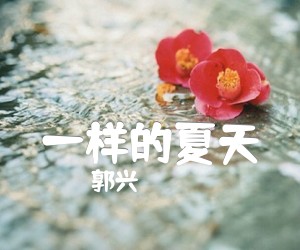 《一样的夏天吉他谱》_郭兴_孙燕姿_D调弹唱六线谱_D调 图片谱2张