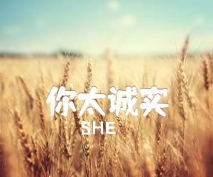 《你太诚实吉他谱》_SHE_C调 图片谱2张