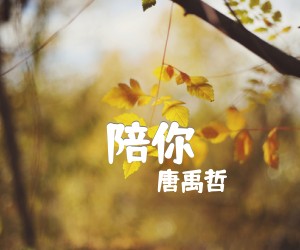 《陪你吉他谱》_唐禹哲 图片谱2张