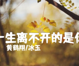 《一生离不开的是你吉他谱》_黄鹤翔/冰玉_G调 图片谱2张