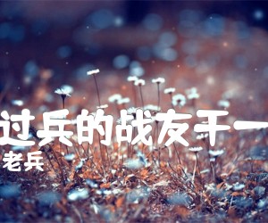 《当过兵的战友干一杯吉他谱》_老兵_G调 图片谱2张