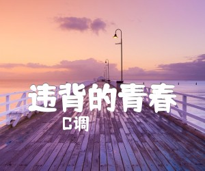 《违背的青春》