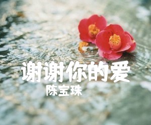 《谢谢你的爱吉他谱》_陈宝珠_G调 图片谱2张