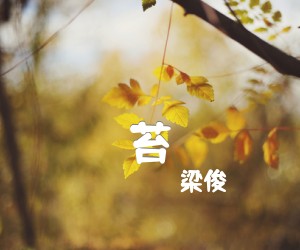 《苔吉他谱》_梁俊_D调 图片谱3张