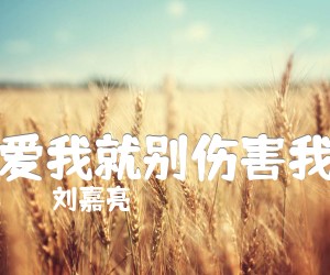 《刘嘉亮 爱我就别伤害我吉他谱》_刘嘉亮_C调 图片谱2张