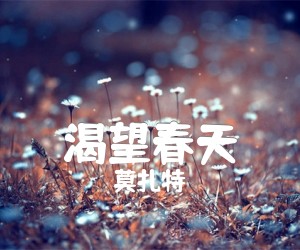 《渴望春天吉他谱》_莫扎特_D调 图片谱1张