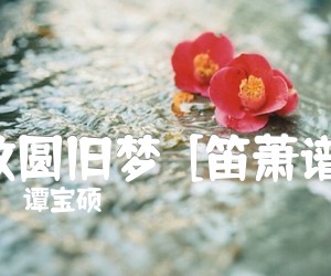 《故圆旧梦  [笛萧谱]吉他谱》_谭宝硕 图片谱1张