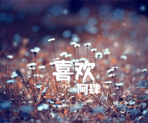 《喜欢吉他谱》_阿肆_C调 图片谱1张