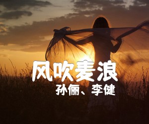 《风吹麦浪吉他谱》_孙俪、李健_大伟版_图片谱完整版 图片谱3张