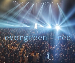 《evergreen tree吉他谱》_欧美经典 图片谱3张