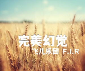 《完美幻觉吉他谱》_飞儿乐团（F.I.R）_未知调 图片谱1张