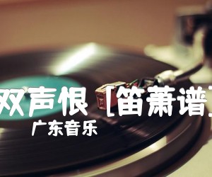 《双声恨  [笛萧谱]吉他谱》_广东音乐_B调 图片谱1张