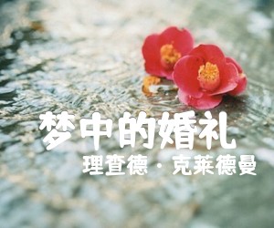 《梦中的婚礼吉他谱》_理查德·克莱德曼_G调 图片谱1张