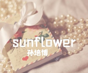 《sunflower吉他谱》_孙培博_吉他图片谱6张