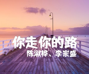 《你走你的路吉他谱》_陈淑桦、李宗盛_汪峰_六线谱完整版好听_C调_吉他图片谱4张