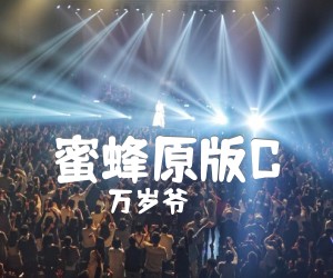 《蜜蜂原版C吉他谱》_万岁爷 图片谱4张