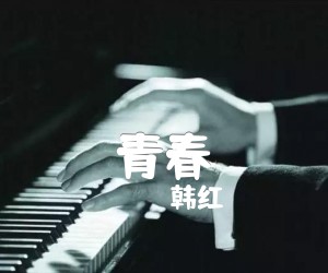 《青春吉他谱》_韩红_D调 图片谱2张