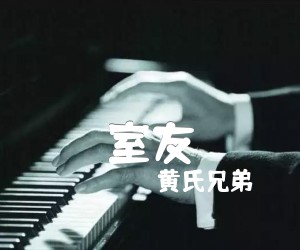 《室友吉他谱》_黄氏兄弟 图片谱2张