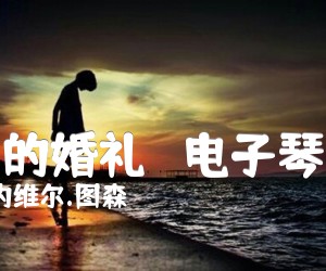 《梦中的婚礼   电子琴曲谱吉他谱》_塞内维尔.图森 图片谱1张